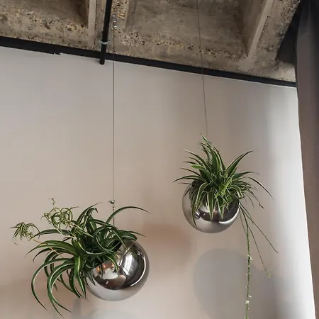 Urban Art Loft Kassel
